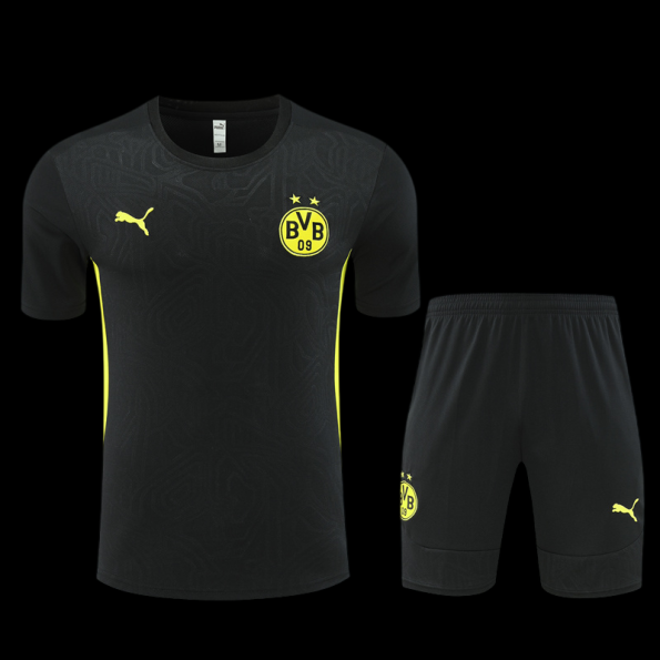 Borussia Dortmund C.F 2025